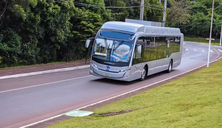 (Divulgação)