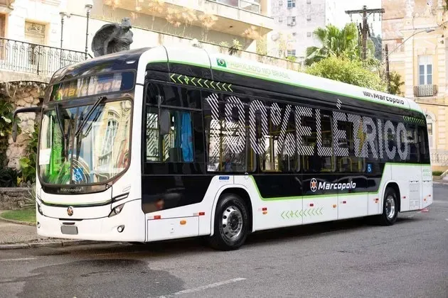 Divulgação