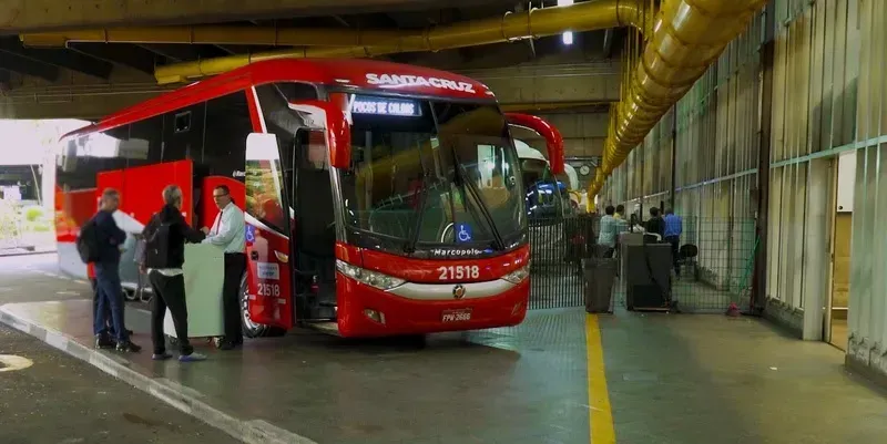 Divulgação