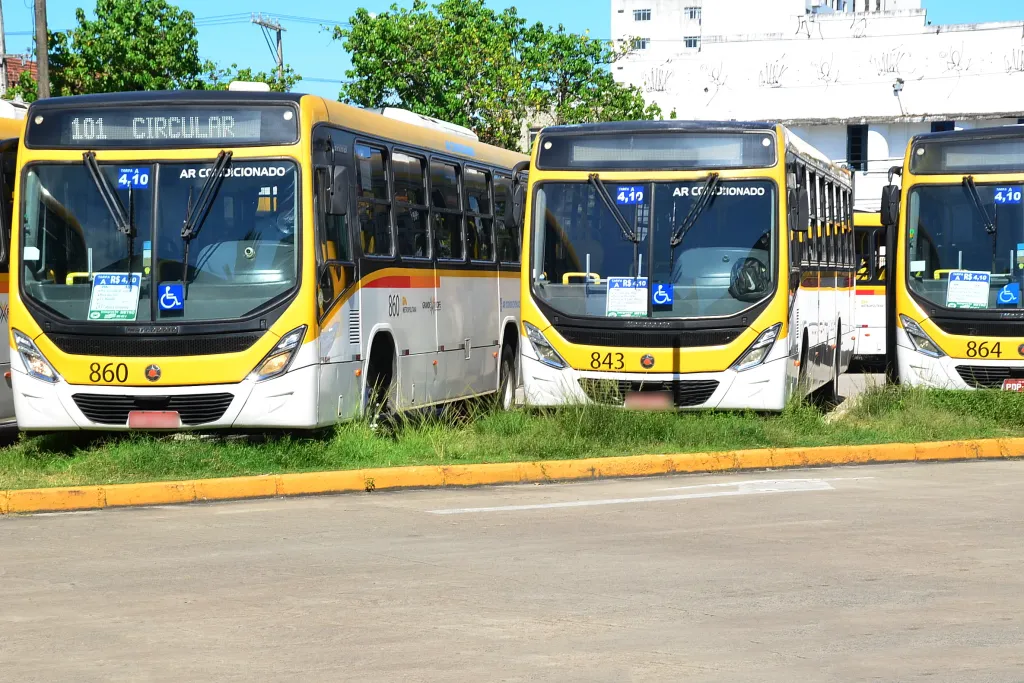 (Foto: Paulo Maciel PMR)