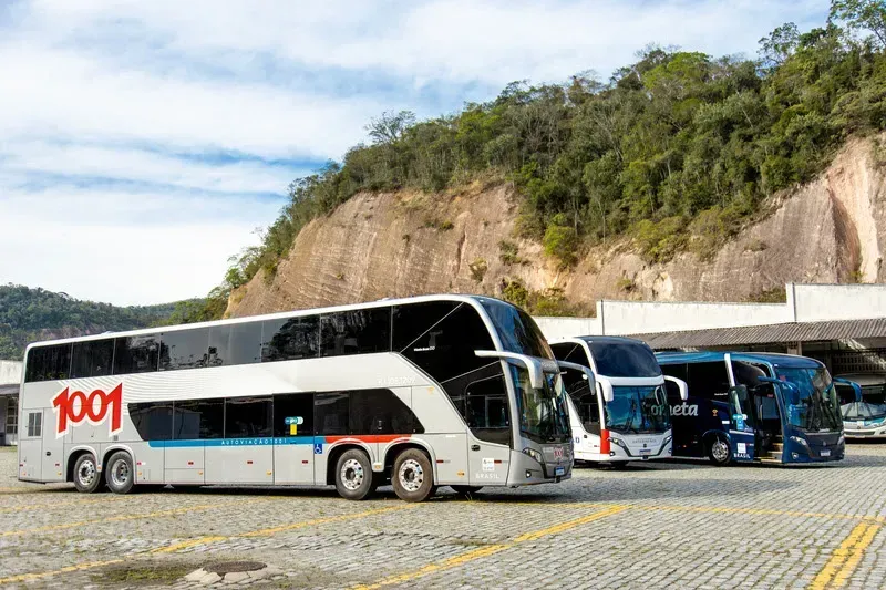 Divulgação