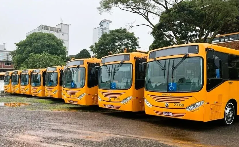 (Divulgação)