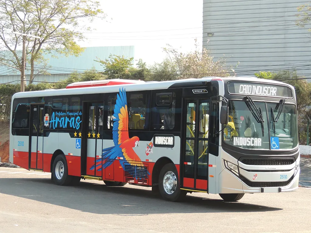 A pintura do ônibus conta com a representação de uma arara nas cores do brasão do município (Divulgação)