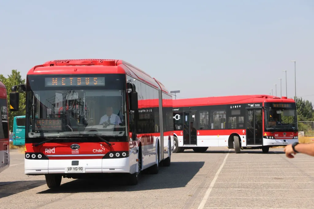 (Divulgação: BYD)