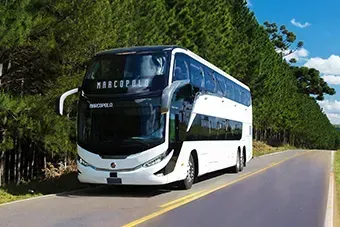 (Divulgação)