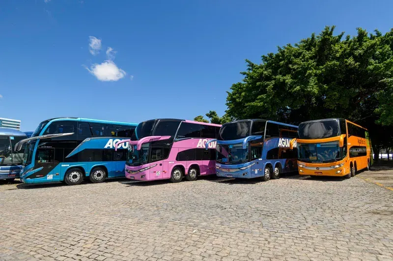(Fotos: Divulgação Águia Branca)