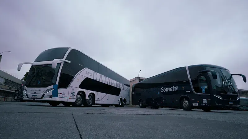 Ônibus das empresas regulares do setor rodoviário (Divulgação)