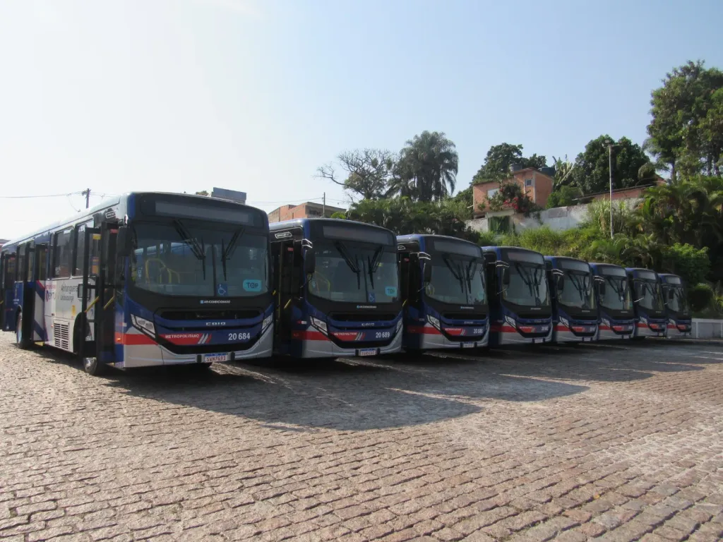 Divulgação