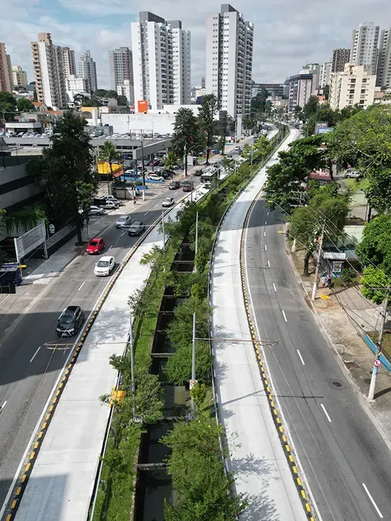 Divulgação
