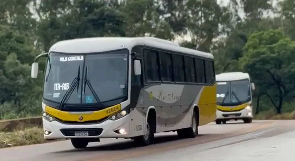 A frota da empresa é composta por 80% de ônibus da marca (Divulgação)
