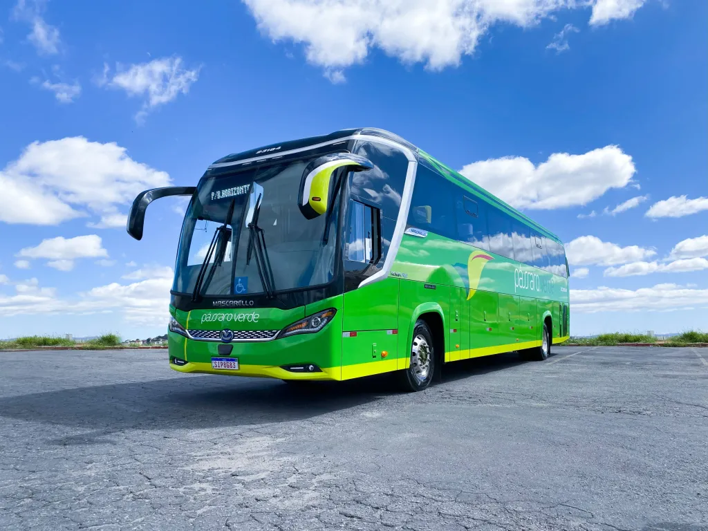 Ônibus da Pássaro Verde (Foto: Leandro Guieiro)