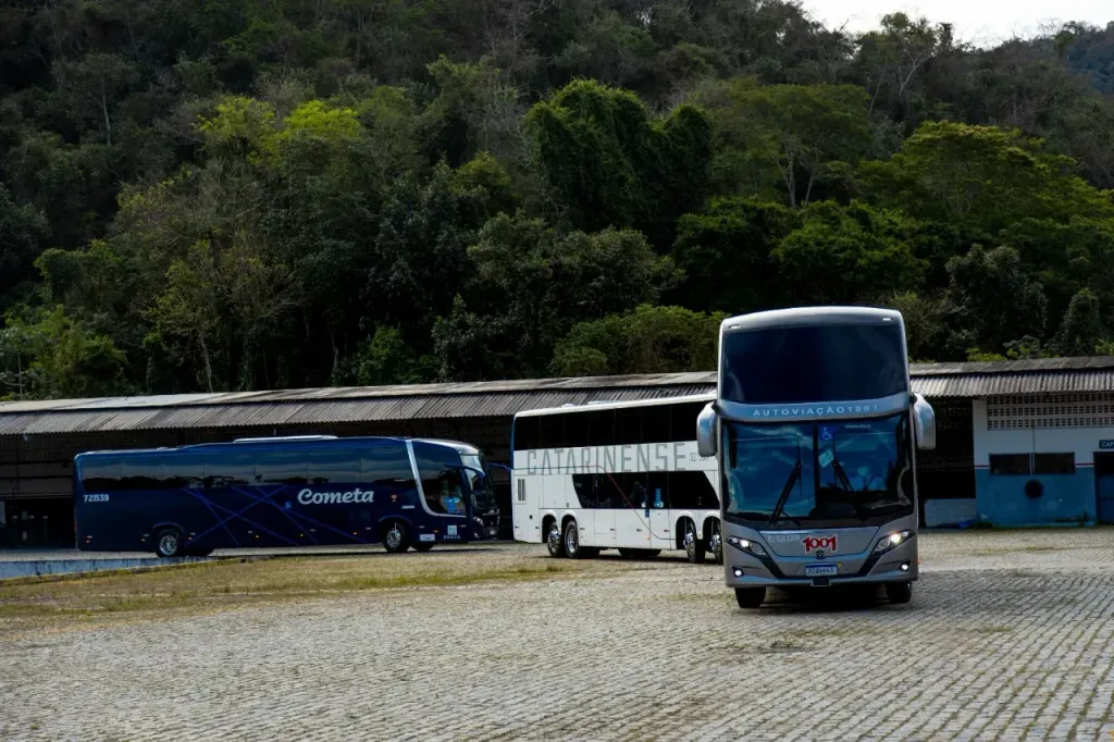 Divulgação
