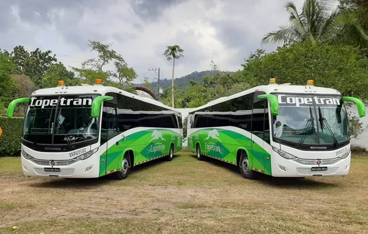 Os ônibus serão usados em operações de fretamento (Divulgação)