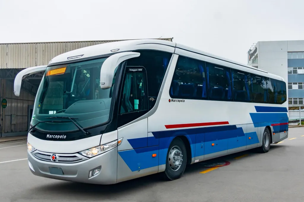 Os ônibus têm capacidade para transportar 43 passageiros (Divulgação)