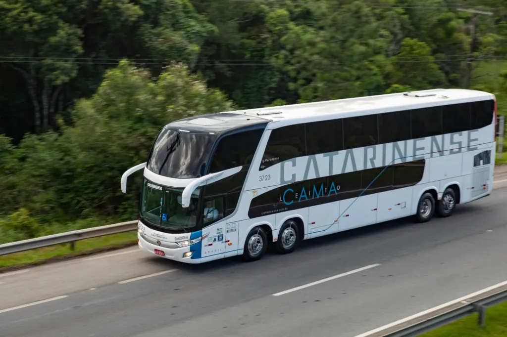 Divulgação