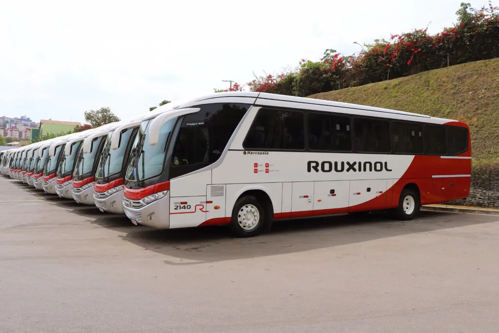 São 29 unidades do modelo Viaggio 900 e dez do micro-ônibus Senior, na versão fretamento (Divulgação)