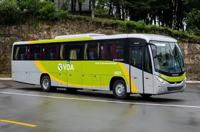 Divulgação