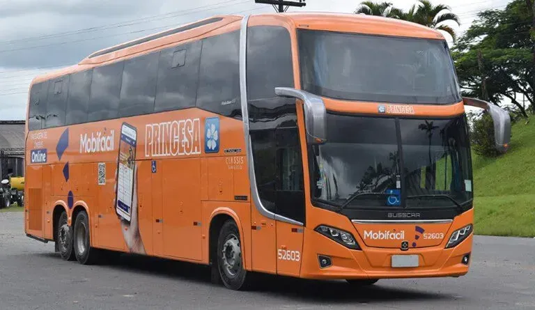 (Divulgação)