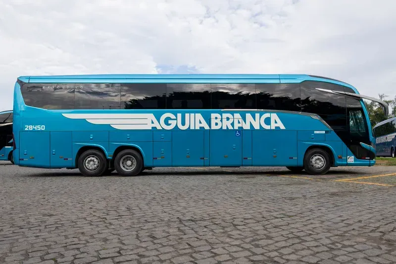 (Divulgação)