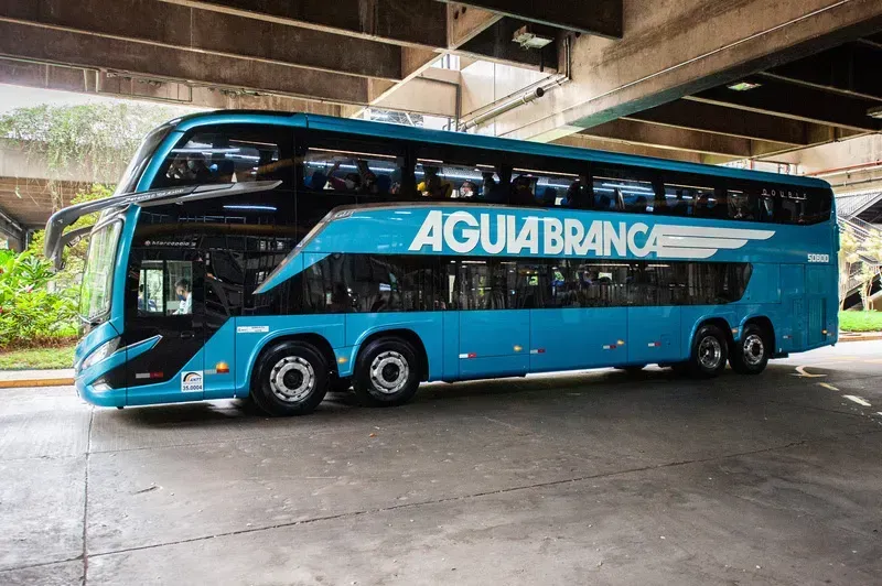 `Divulgação