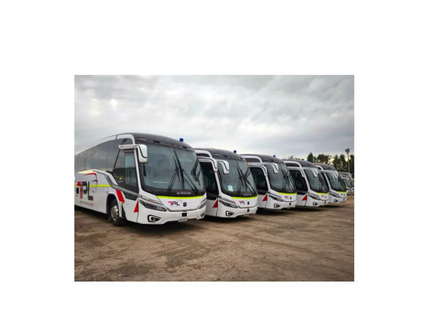 Divulgação Busscar