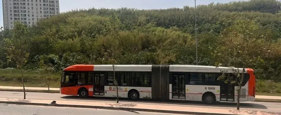 Divulgação