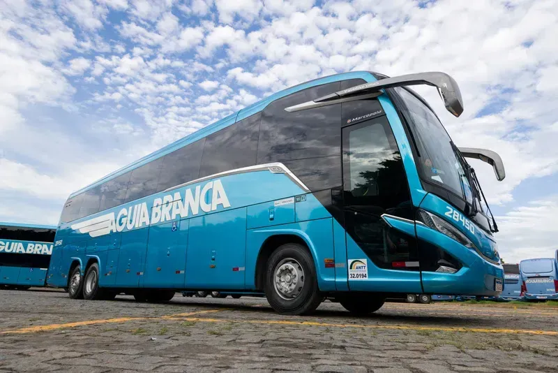 Divulgação