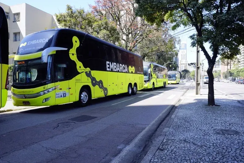 Divulgação