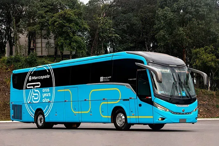 Divulgação