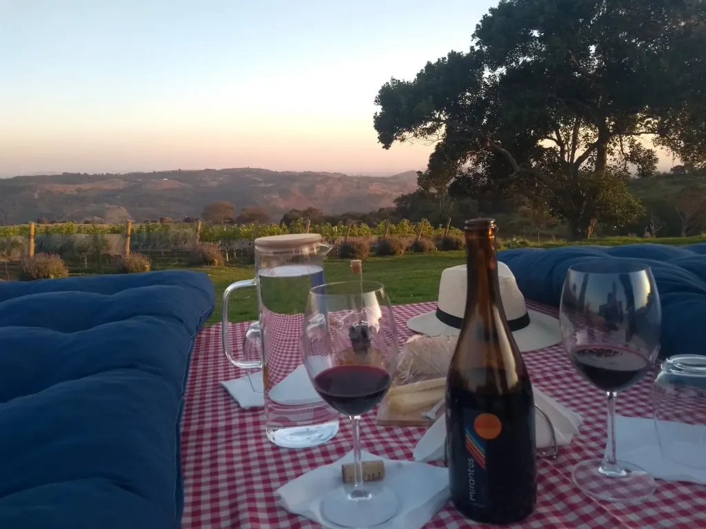 Roteiro “Café, Queijo e Vinho” (Divulgação)