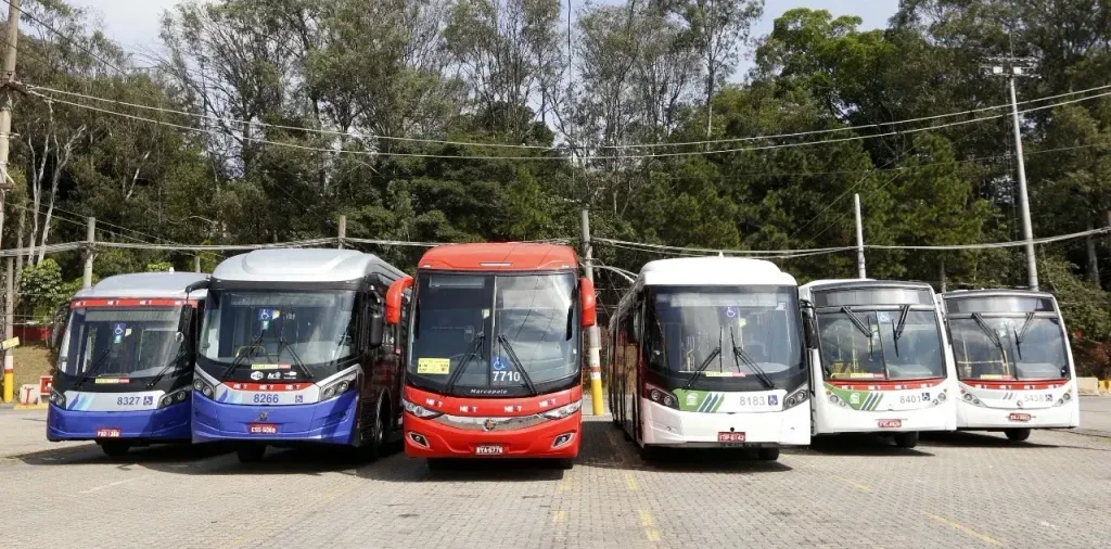 (Divulgação)