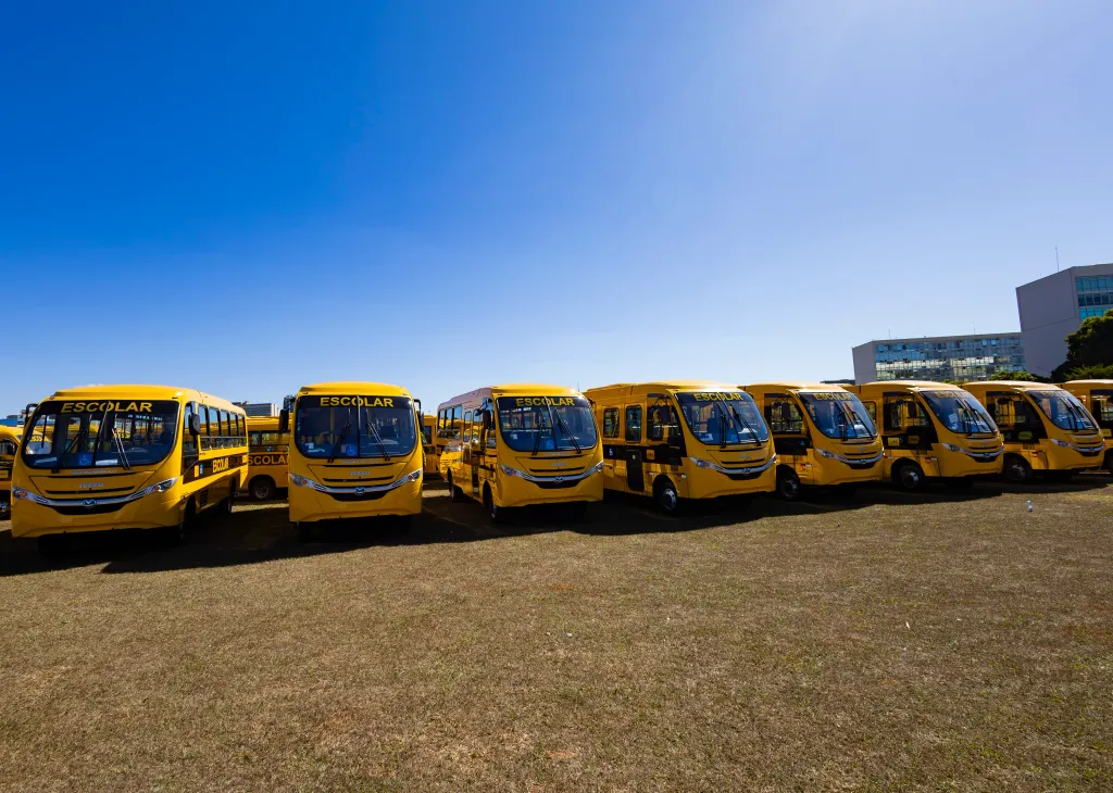 (Divulgação)