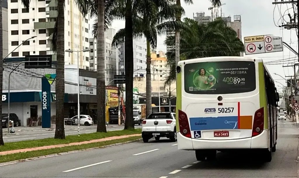 (Divulgação)