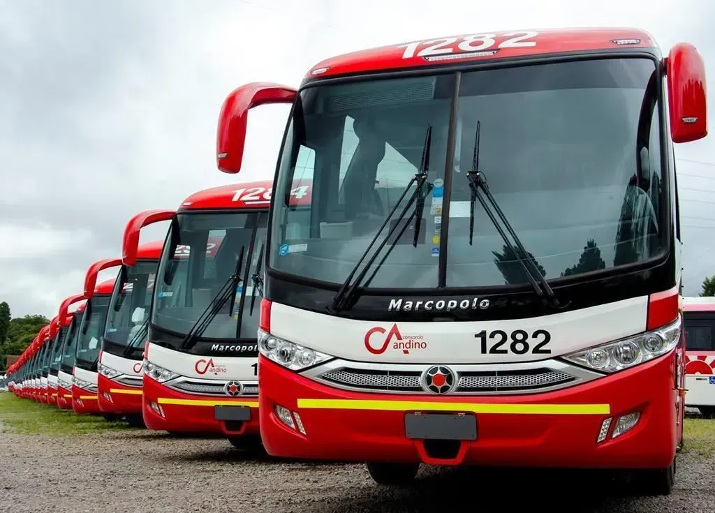 Os ônibus começaram a ser entregues em janeiro (Divulgação)