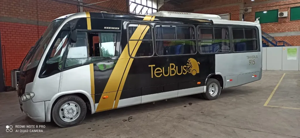 Os ônibus contam com uma pintura diferenciada (Divulgação)