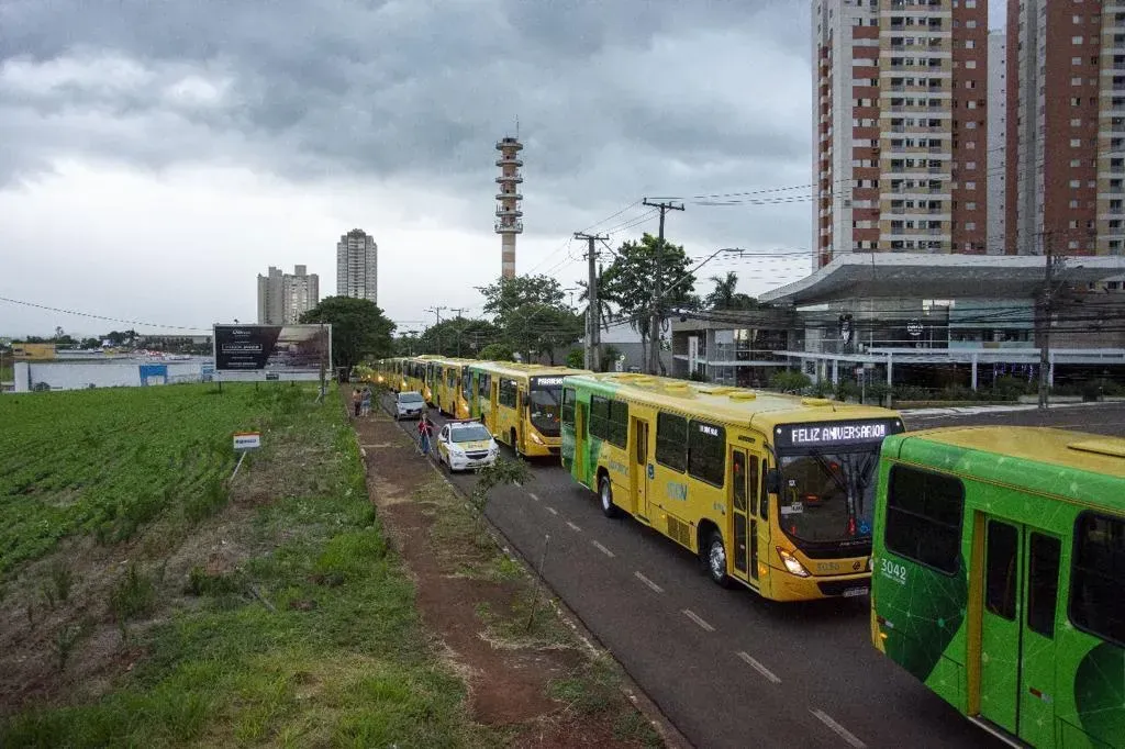 Divulgação