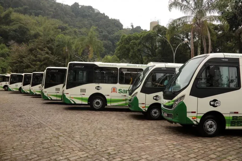 (Foto: Francisco Arrais PMS)