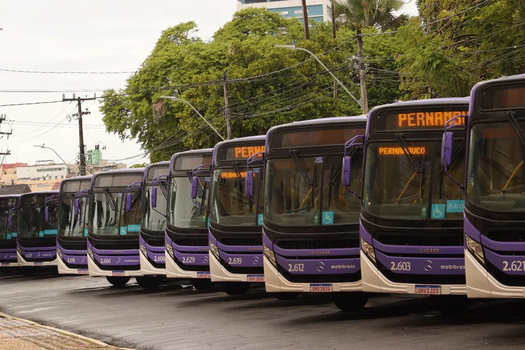 MobiBrasil Pernambuco recebe 80 chassis Mercedes-Benz OF 1726 L com carrocerias da Caio (Divulgação)