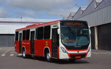 Ônibus Novo Torino, da Marcopolo, entregue ao mercado paraguaio