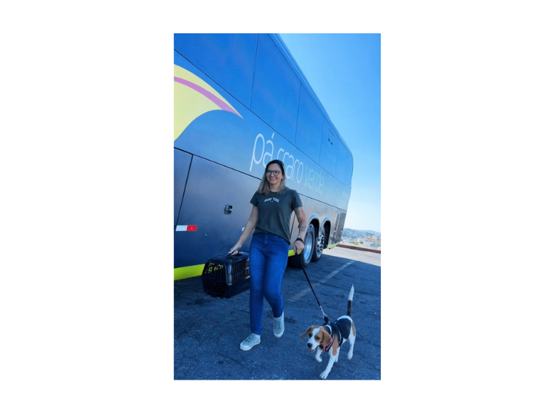 Pets de pequeno porte podem viajar acompanhados na Pássaro Verde